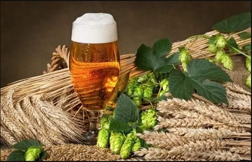 精釀啤酒原料--山東豪魯廠(chǎng)家供應(yīng)